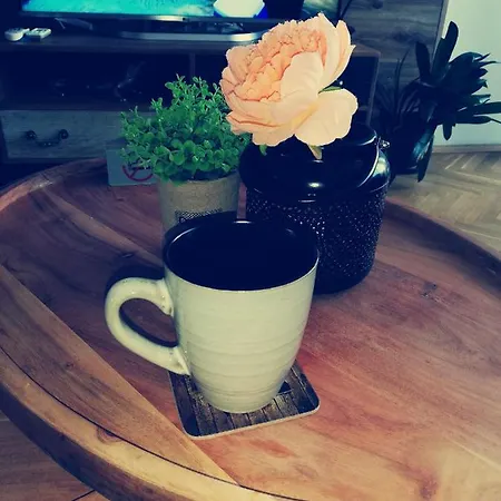 за гости во1 Apartament